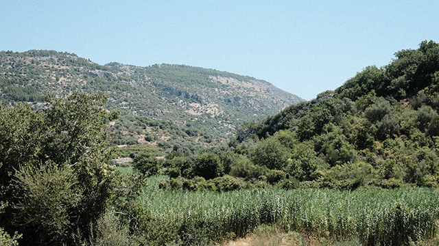 Sicily Travel Diaries 2022